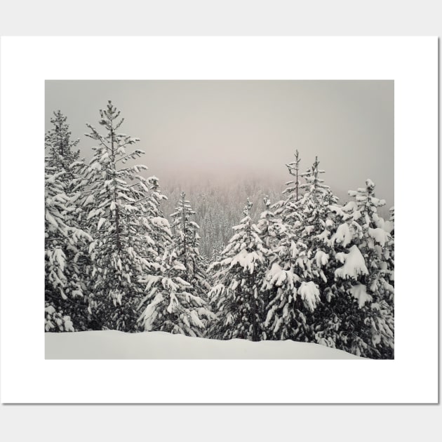 foggy fir forest Wall Art by psychoshadow